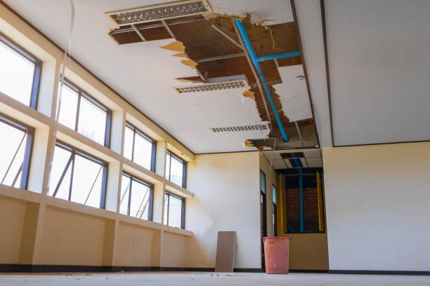 Best Flood restoration services  in Grosse Pointe Woods, MI