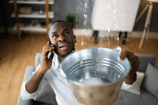 Best Flood damage cleanup  in Grosse Pointe Woods, MI