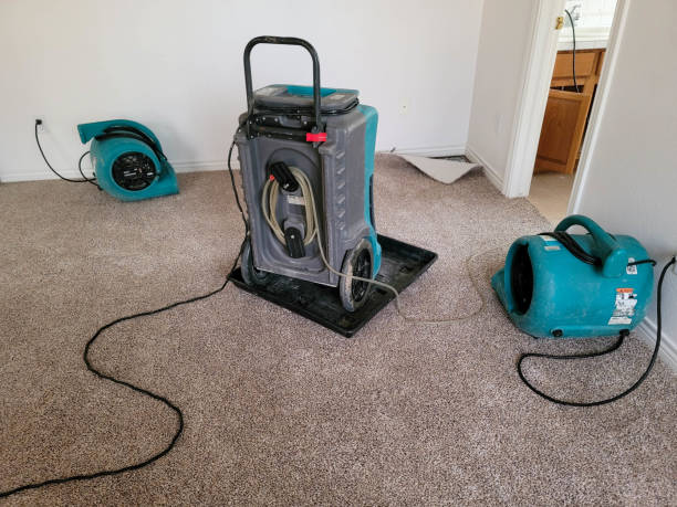 Best Sewage cleanup and water damage restoration  in Grosse Pointe Woods, MI