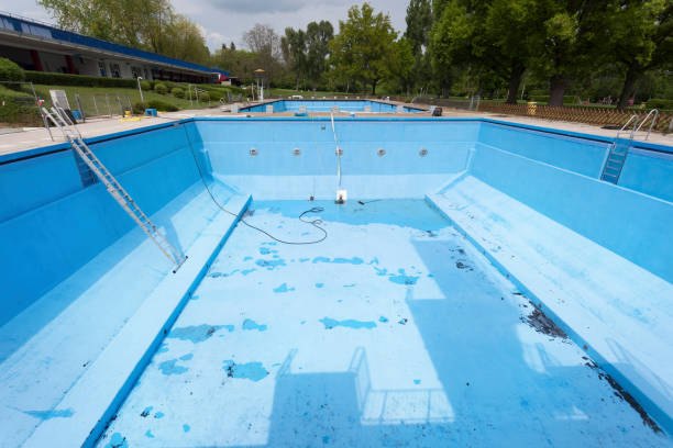 Best Mold removal after water damage  in Grosse Pointe Woods, MI