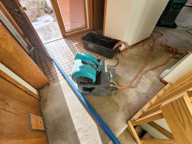 Best Basement water damage restoration  in Grosse Pointe Woods, MI