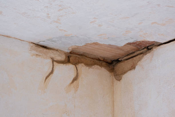 24/7 water damage repair in Grosse Pointe Woods, MI