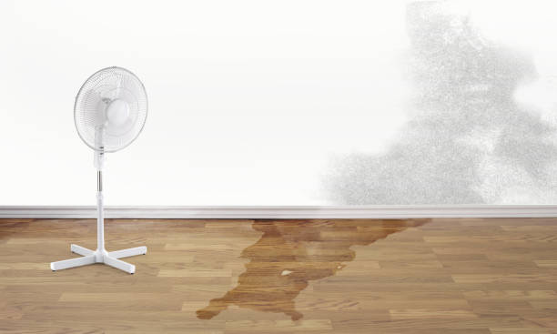 Carpet water damage restoration in Grosse Pointe Woods, MI