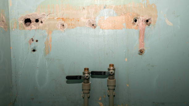 Best Ceiling water damage repair  in Grosse Pointe Woods, MI